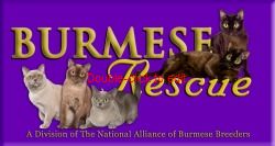 Burmese Rescue